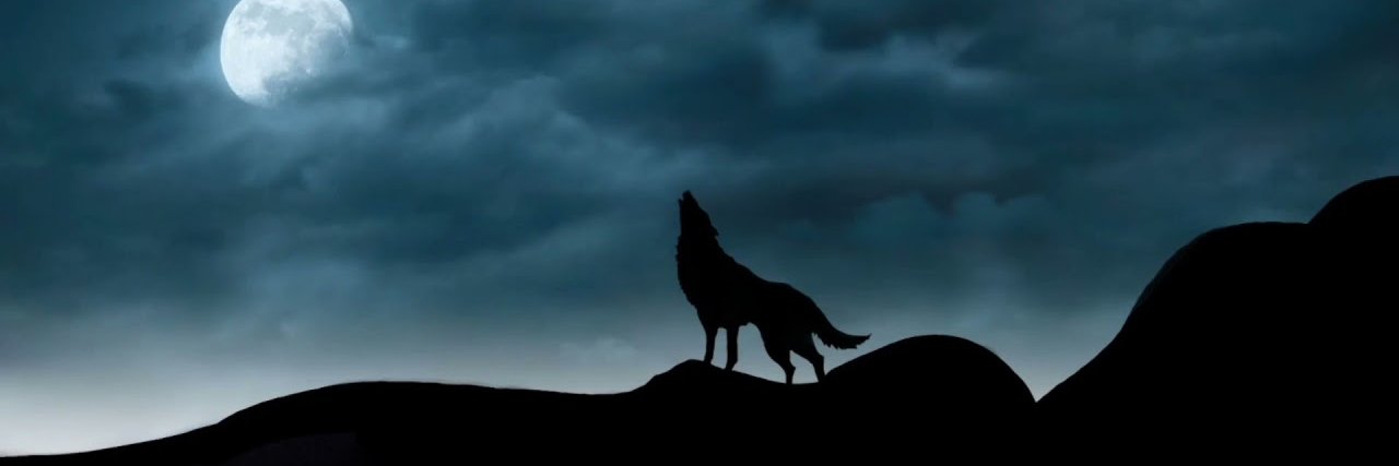 Lobo vigilante banner