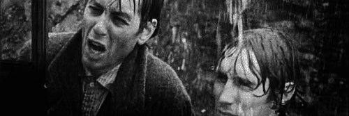 reallyhiggins's profile banner image