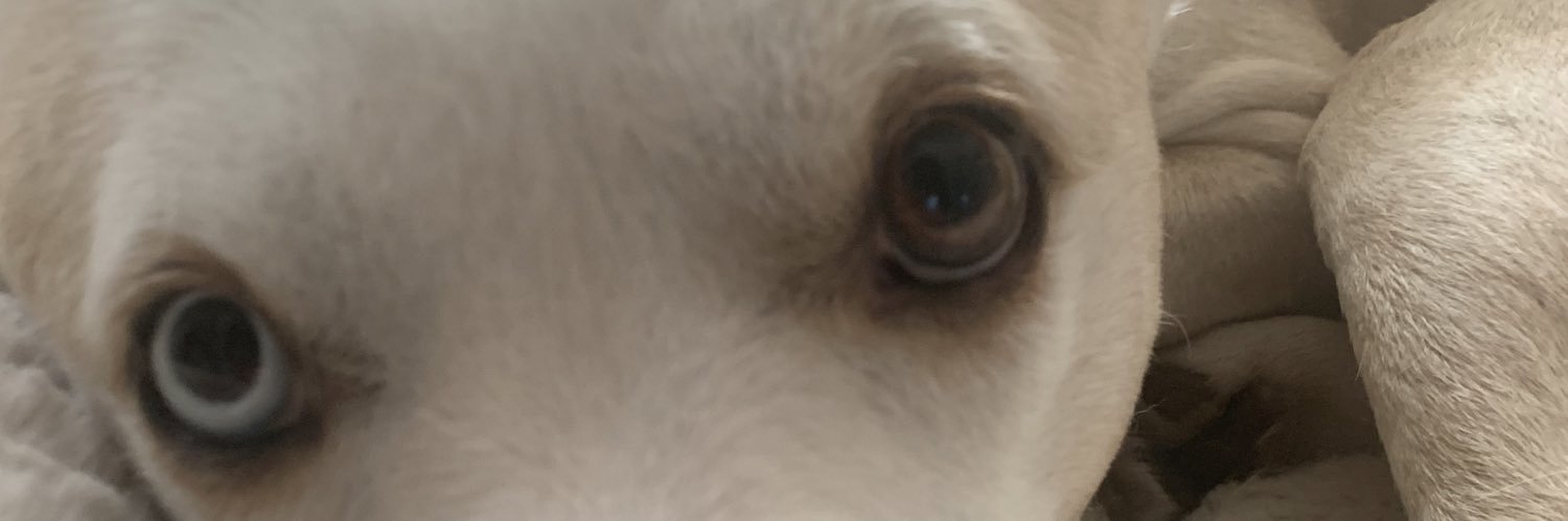 ۟ banner