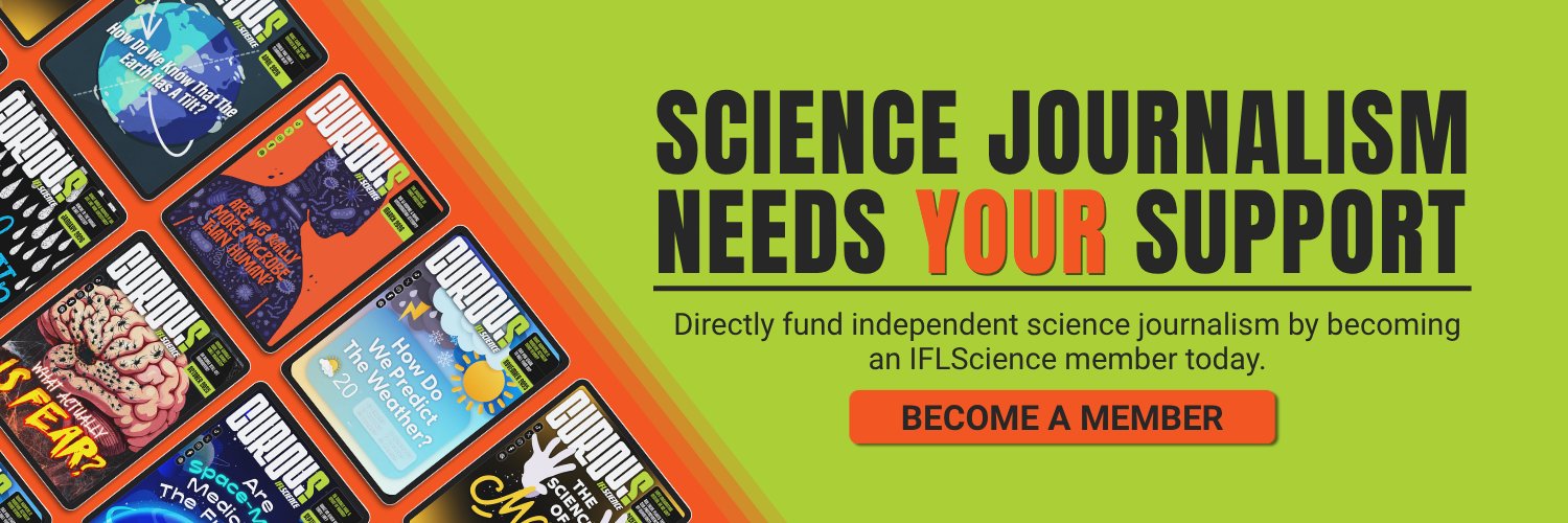 IFLScience's profile banner image