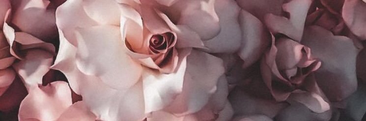 NoemiRebollo4's profile banner image