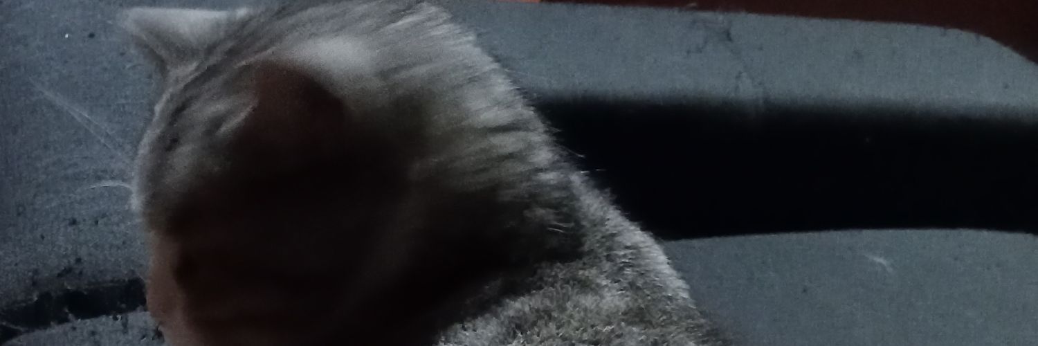 @la sofi 💜 banner