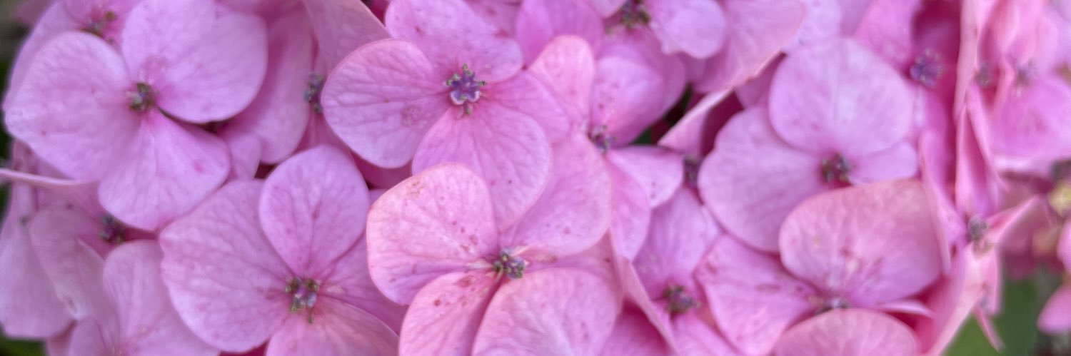 Flyover country banner