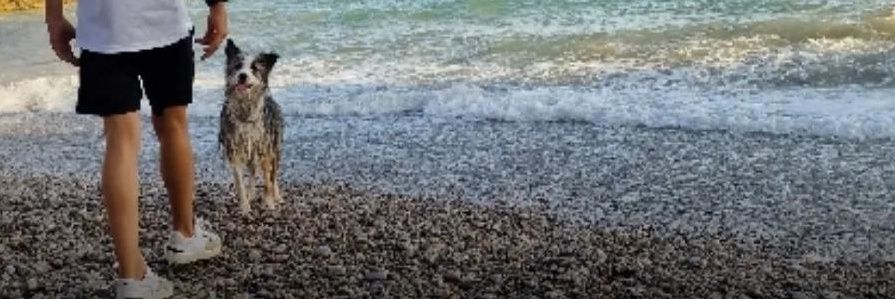 Edgar_rs8's profile banner image