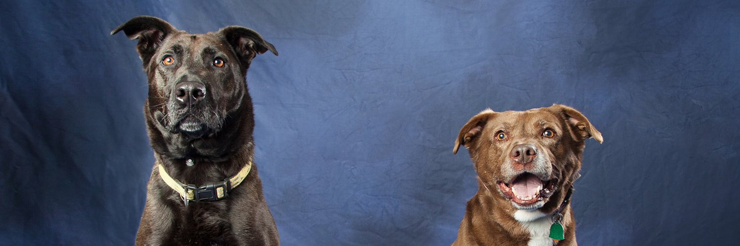 Great River Rescue banner