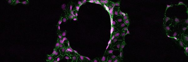 JBFuelle's profile banner image
