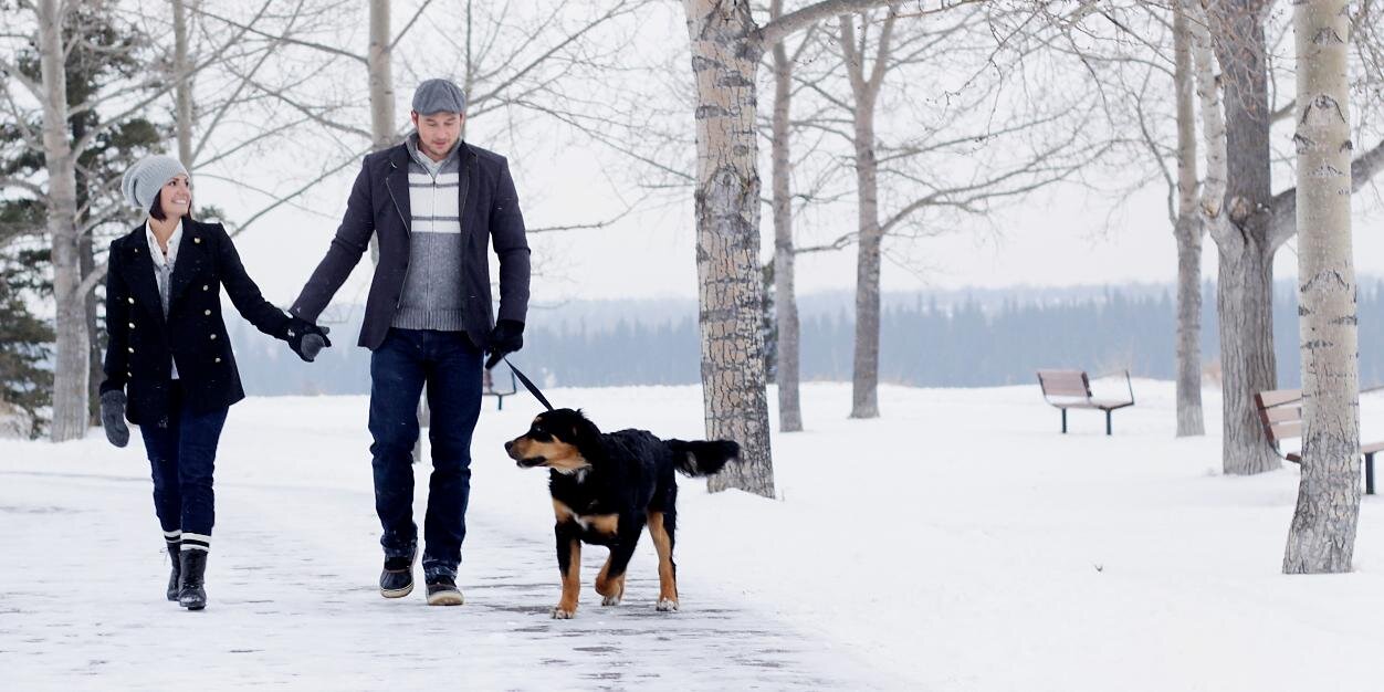 clpbernier's profile banner image