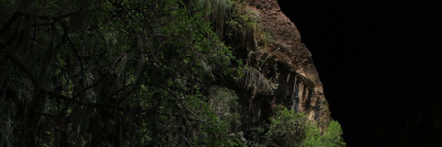 caandeLopees's profile banner image