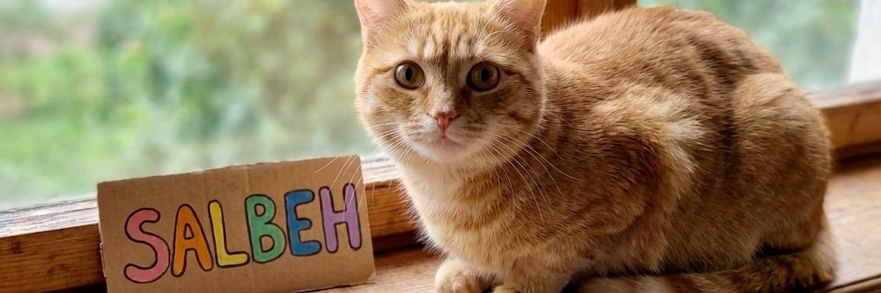 1_salbeh's profile banner image