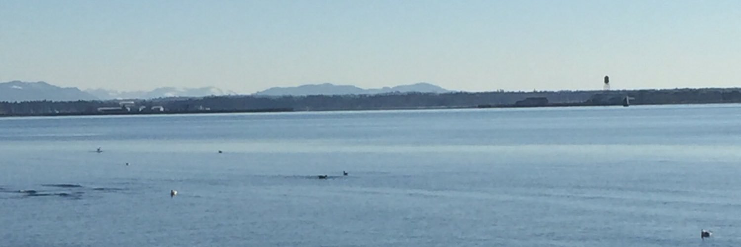 Alison Humphrys banner