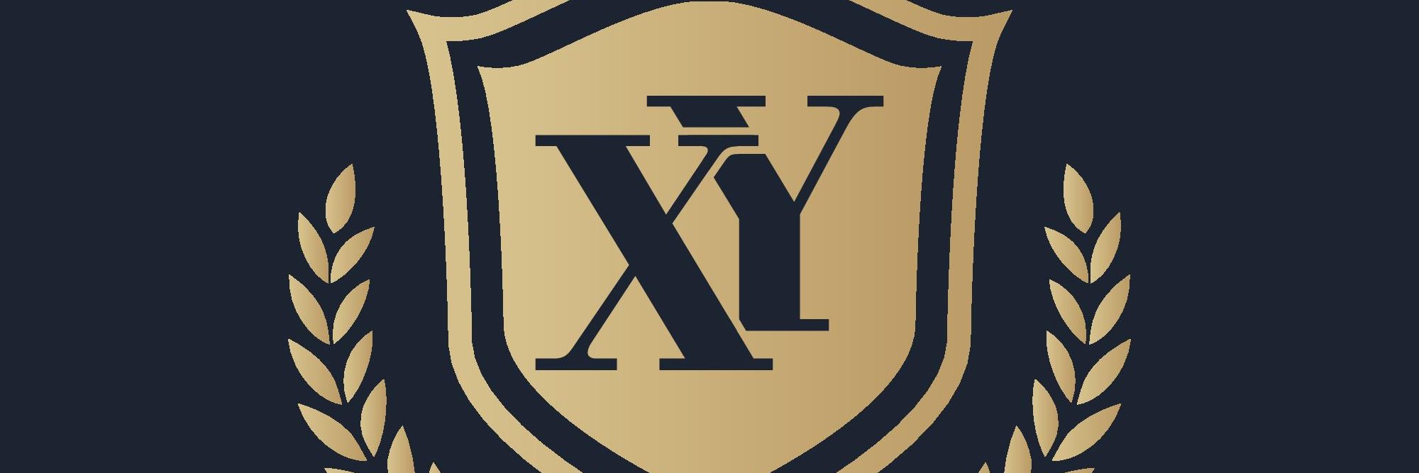 Xy_McFly's profile banner image