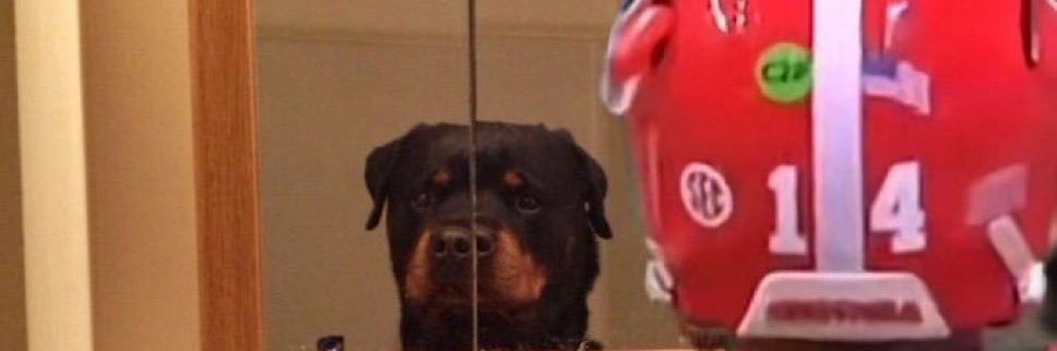 The Big Falcon banner