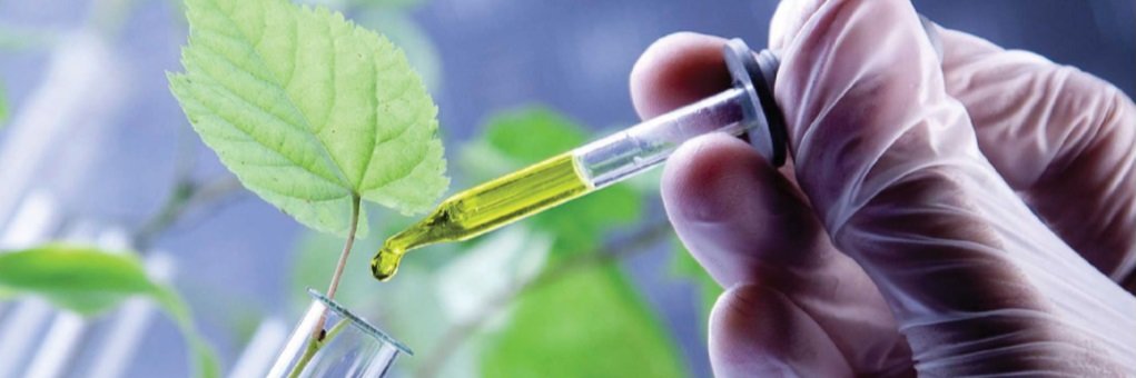 Forum BioEnginy UPC banner