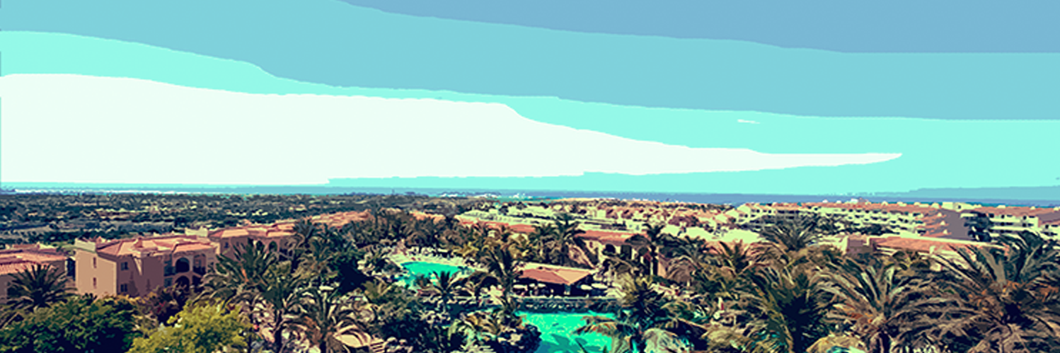 Palm_Oasis's profile banner image