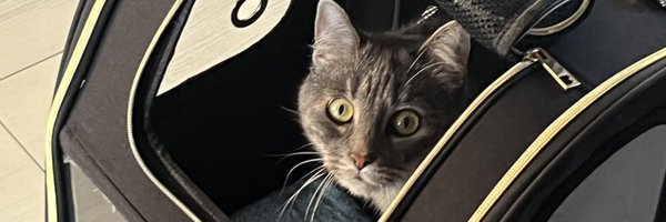 polskavge Profile Banner