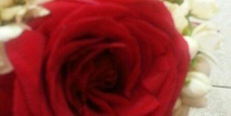 shathar8's profile banner image