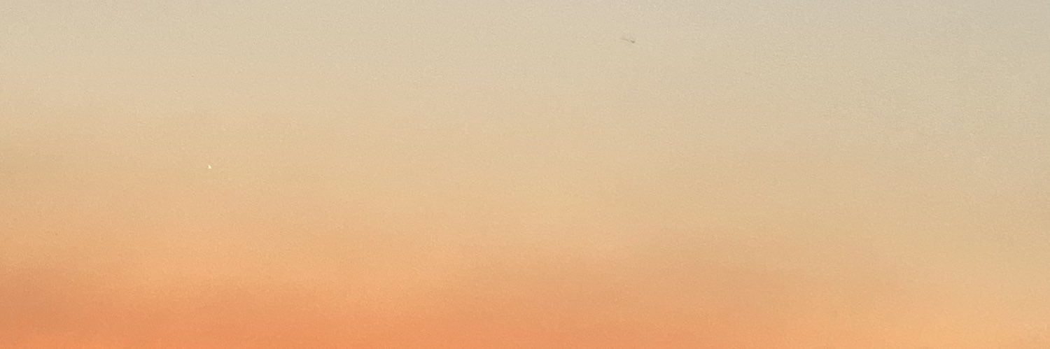 nunknink🌻 banner