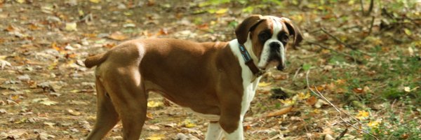 lives2talk Profile Banner