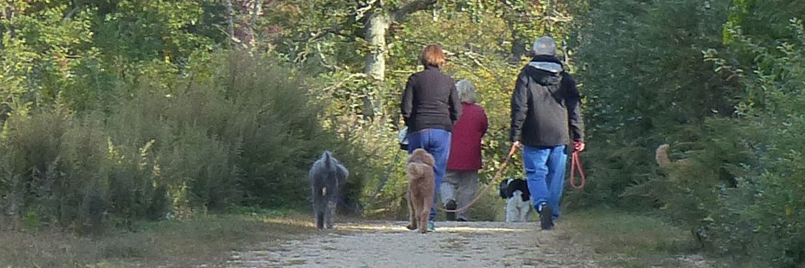 LI-DOG: Long Island Dog Owners Group banner