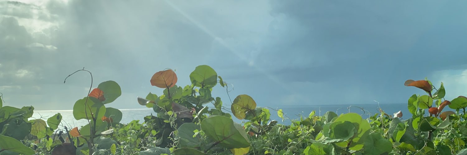 JoseFructuoso's profile banner image