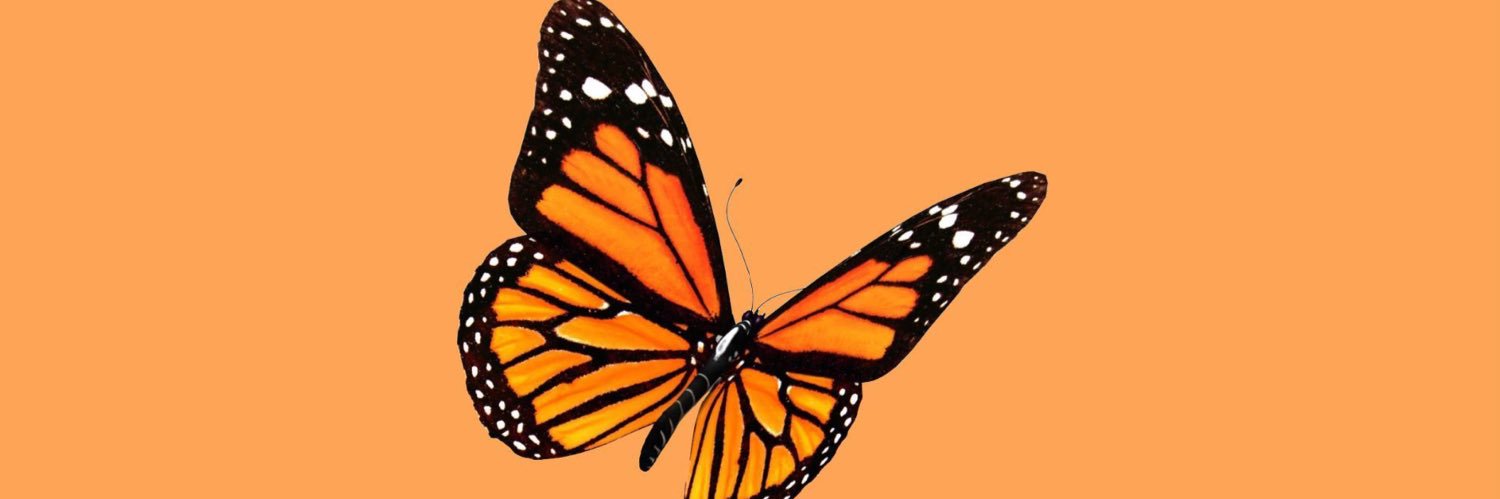 Ari_Crumpler24's profile banner image