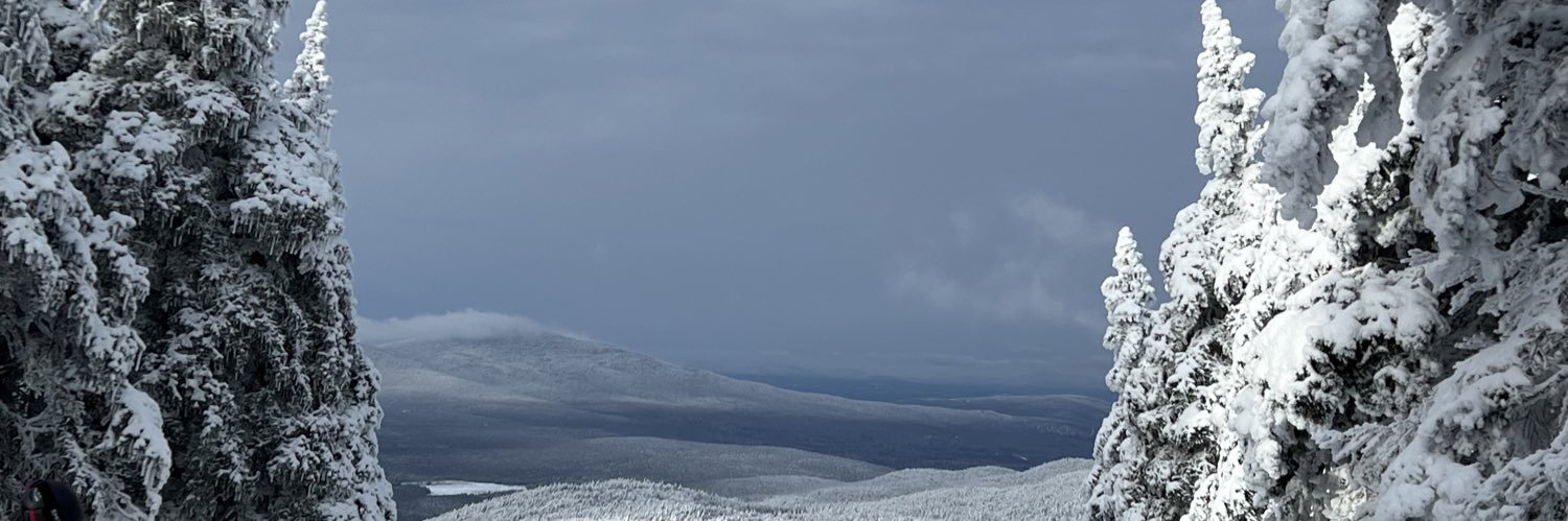 Leonard banner