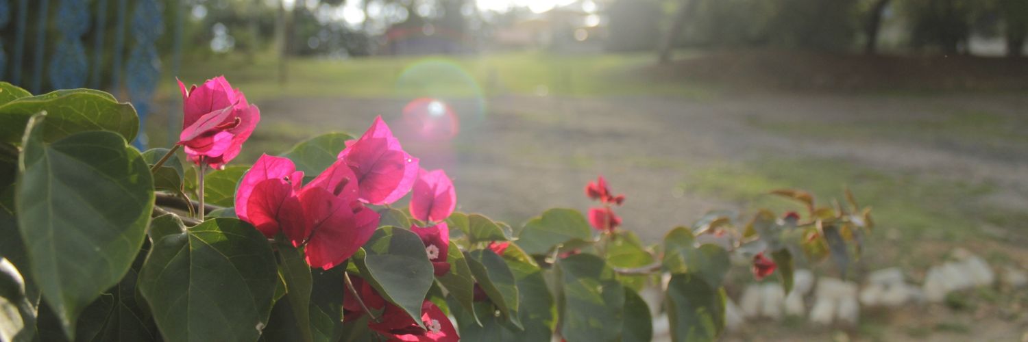 tseverioreal's profile banner image
