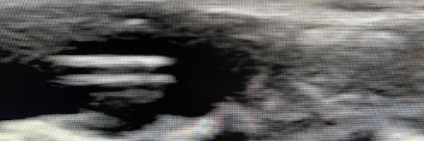 FadiSaab17 Profile Banner