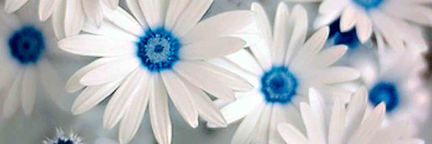 mcelroy_amanda's profile banner image