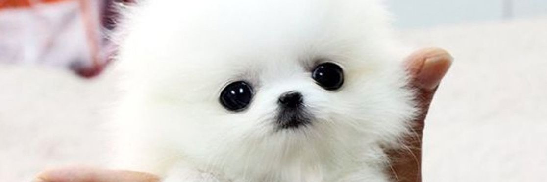 Vali Hofer⚡️ banner