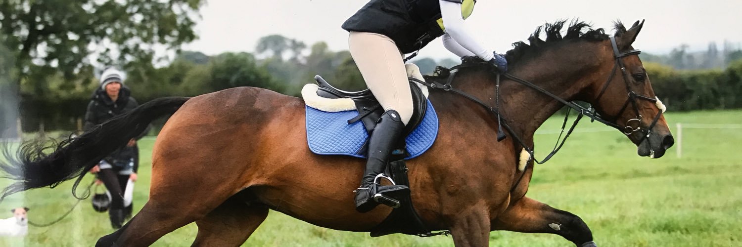 bexburrow13's profile banner image
