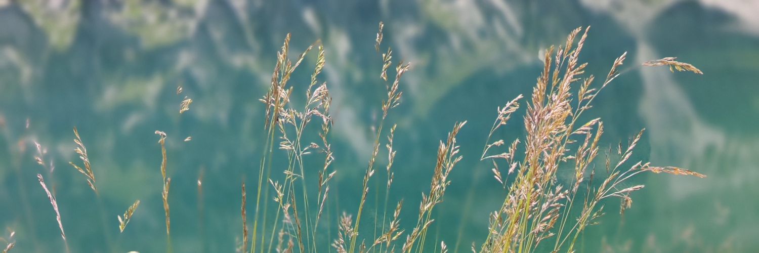 nndrea's profile banner image