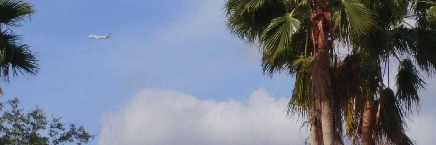 I Know There's Plastic Love (Christian Sampson) banner
