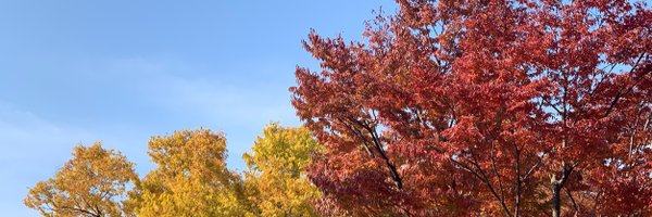 EartHeartIIssue Profile Banner