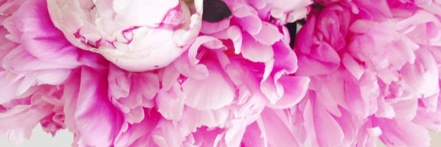 Maria E. Belluca banner