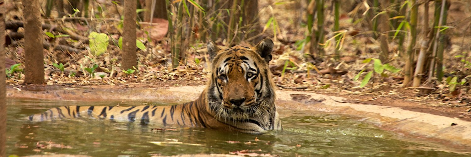 Manish Pandey (मनीष पाण्डेय) banner