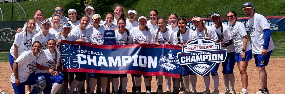 WNE Softball banner