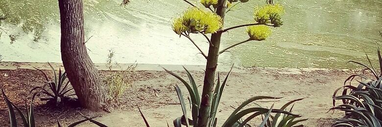 Aakritty's profile banner image