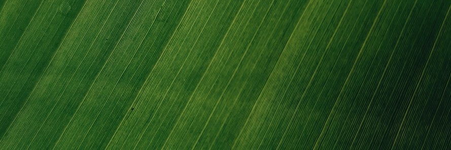 hawston's profile banner image
