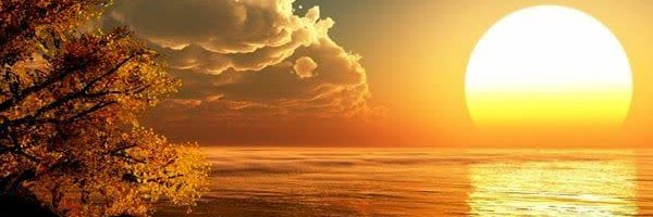 Newvision03's profile banner image