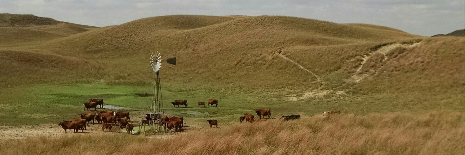 Barbara Cooksley banner