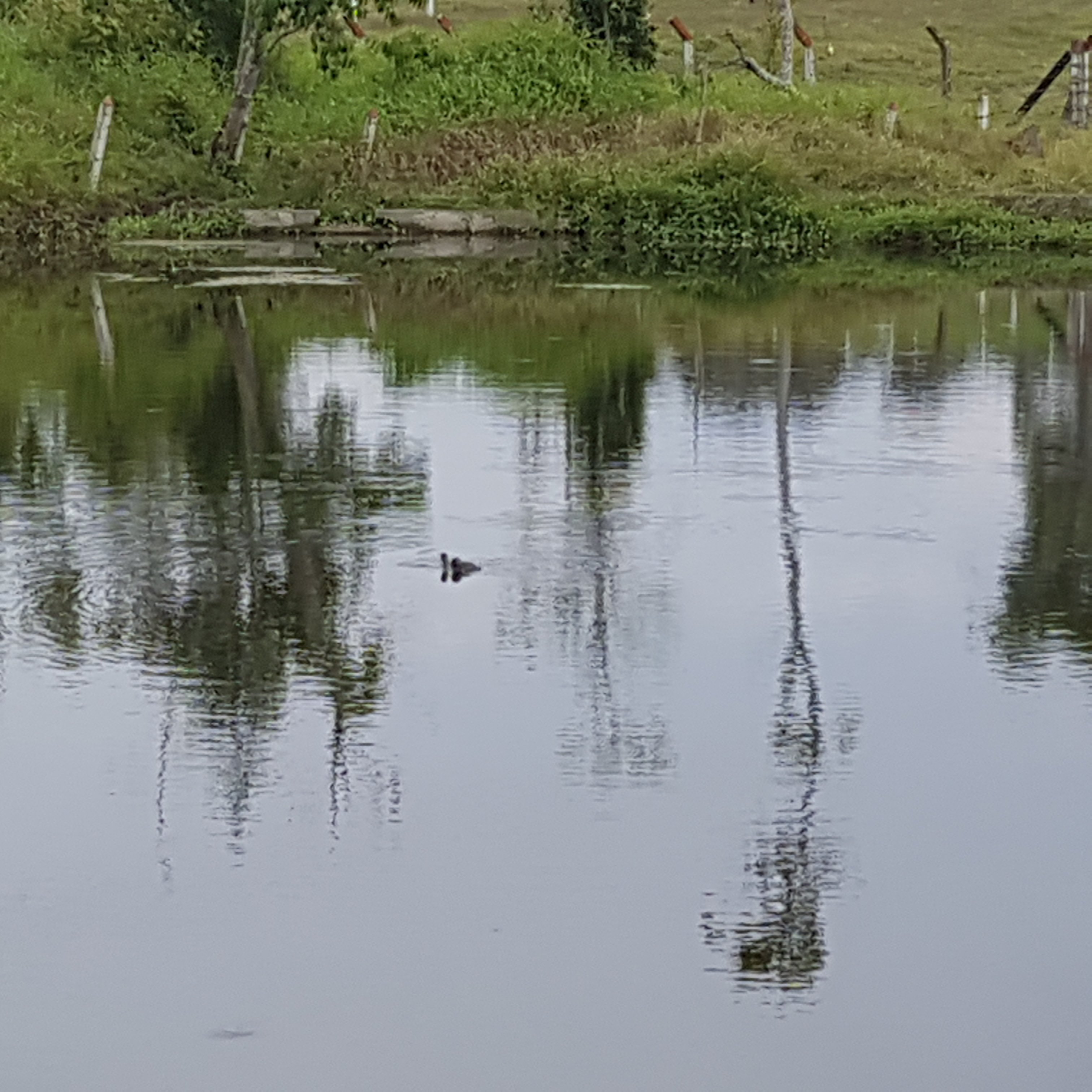 Jairo P. López banner
