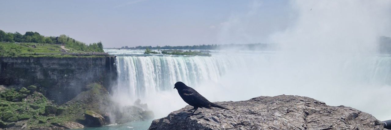 Motahare Eslami banner