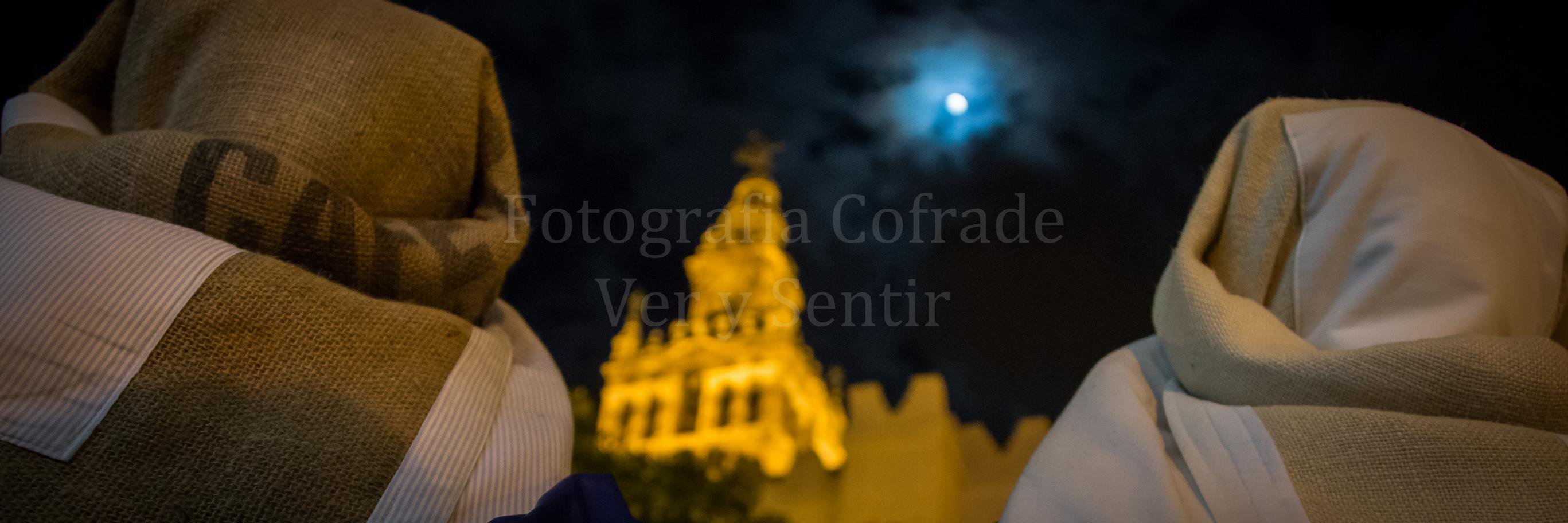 FtgrfVerySentir's profile banner image