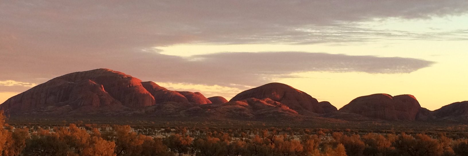 Cristina Rocha banner