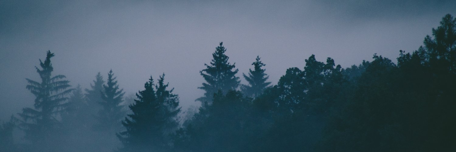 ivalfaa's profile banner image