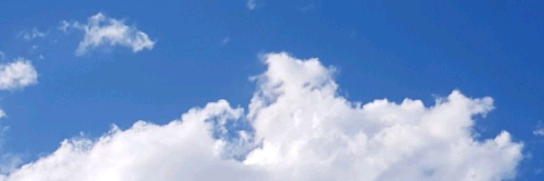 Camiivisconti's profile banner image