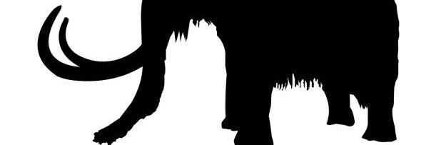 _TraceyDrake's profile banner image