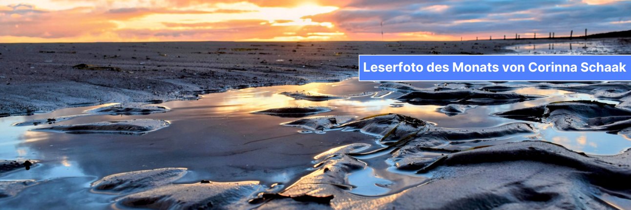 Ostsee-Zeitung banner