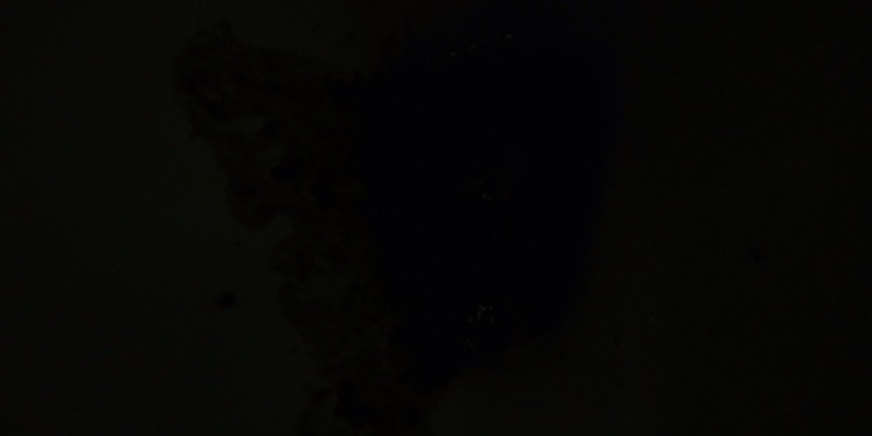 Whitey_rob's profile banner image